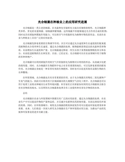 光合细菌在种植业上的应用研究进展