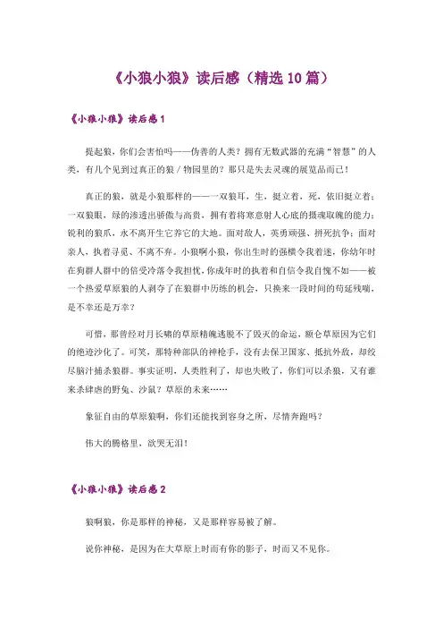 《小狼小狼》读后感(精选10篇)