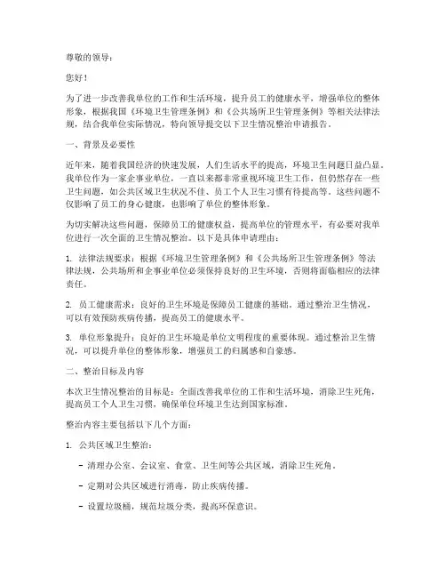 卫生情况整治申请报告