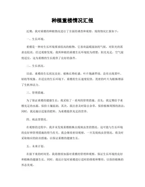 种植重楼情况汇报
