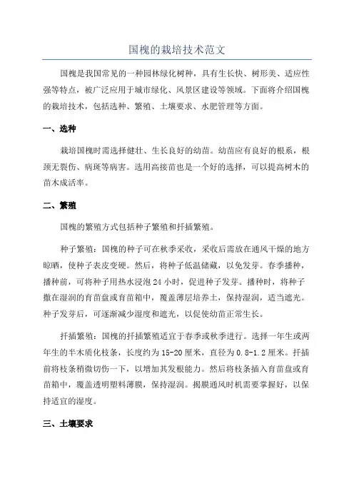 国槐的栽培技术范文