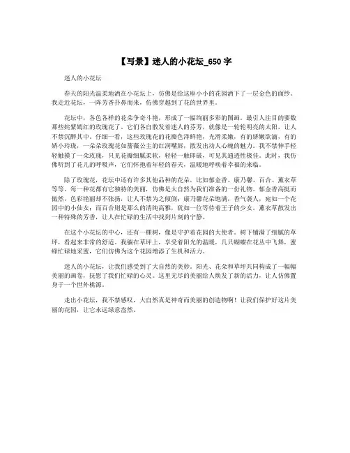 【写景】迷人的小花坛_650字
