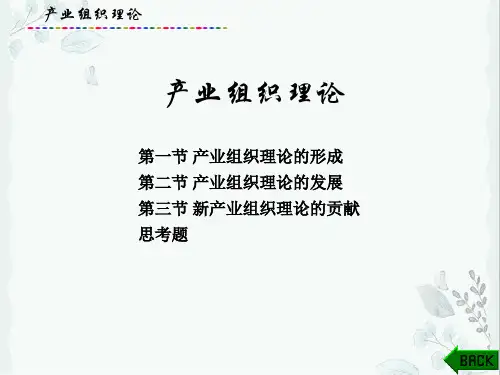 产业经济学-产业组织理论