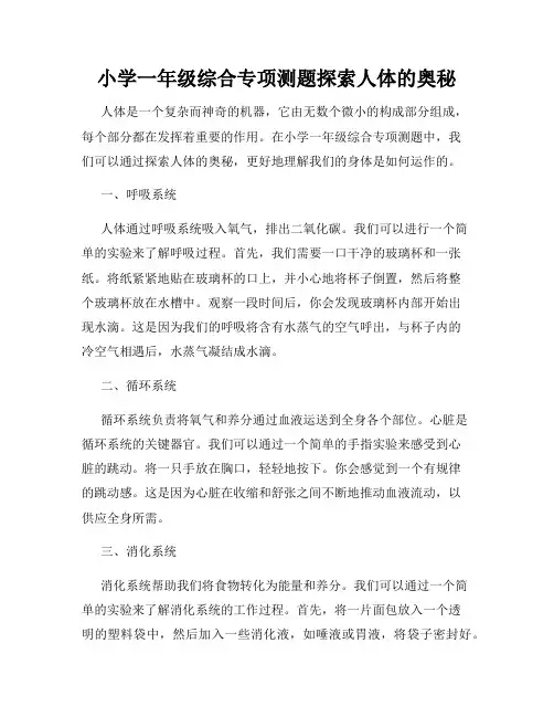 小学一年级综合专项测题探索人体的奥秘