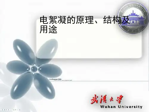 电絮凝的原理、结构及用途PPT幻灯片