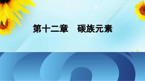 珍贵无机化学课件第12章 P区元素—碳族元素