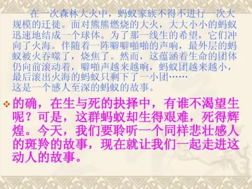 沈石溪的〈〈斑羚飞渡〉〉课件