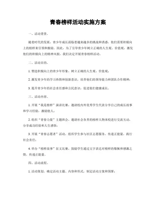 青春榜样活动实施方案