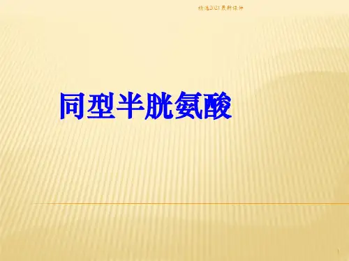 同型半胱氨酸PPT课件