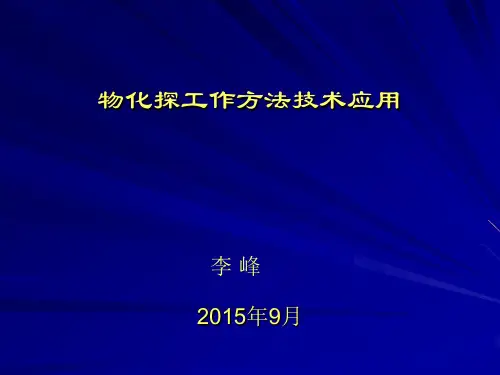 物化探工作方法技术应用