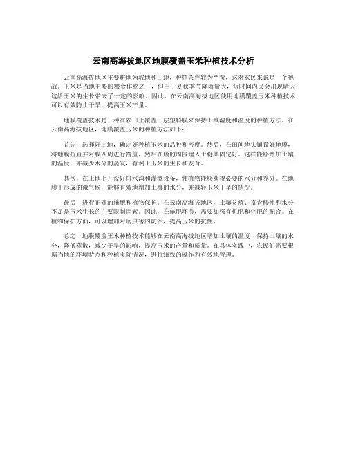 云南高海拔地区地膜覆盖玉米种植技术分析