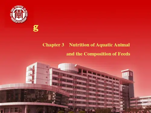 水产营养与饲料学3水产动物饲料营养组成PPT课件