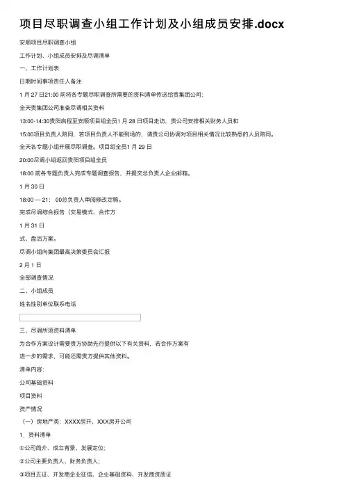 项目尽职调查小组工作计划及小组成员安排.docx