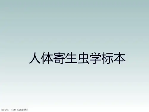人体寄生虫图片