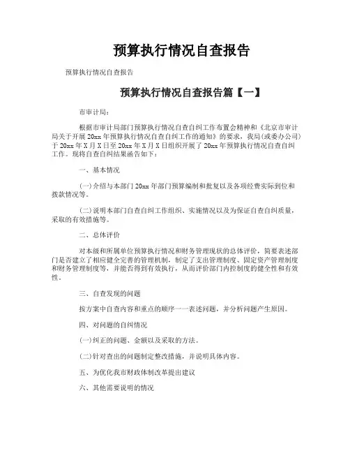 预算执行情况自查报告