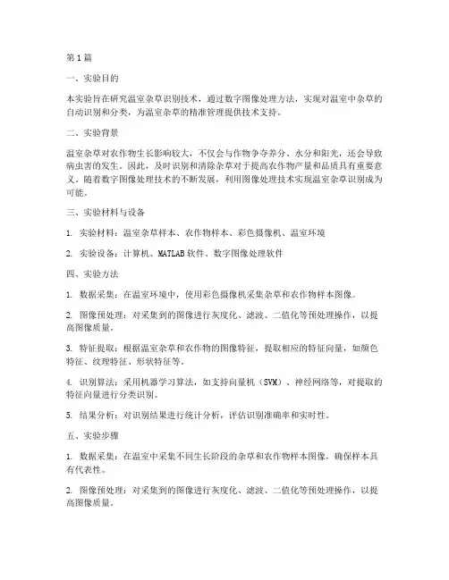 温室杂草识别实验报告(3篇)