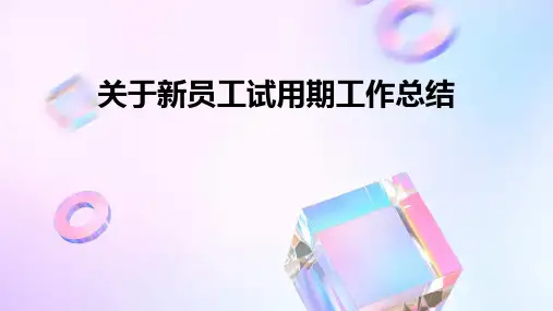 关于新员工试用期工作总结PPT