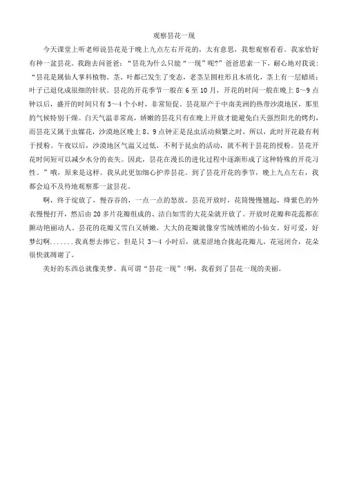 小学语文：观察昙花一现