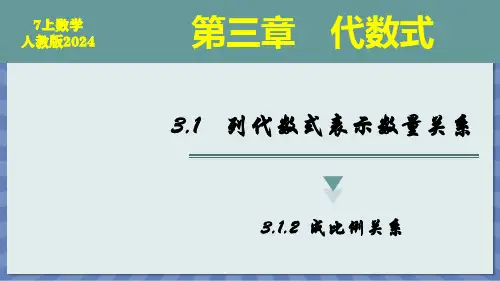 数学人教版2024版七年级初一上册 3.1 列代数式表示数量关系 课件03