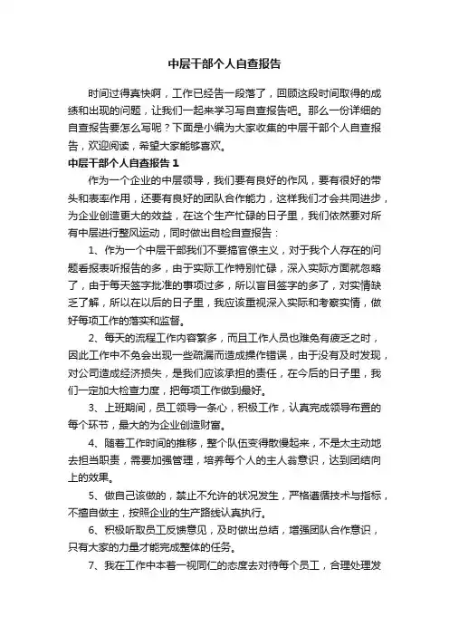 中层干部个人自查报告