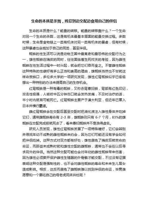生命的本质是杀戮，残忍到边交配边食用自己的伴侣