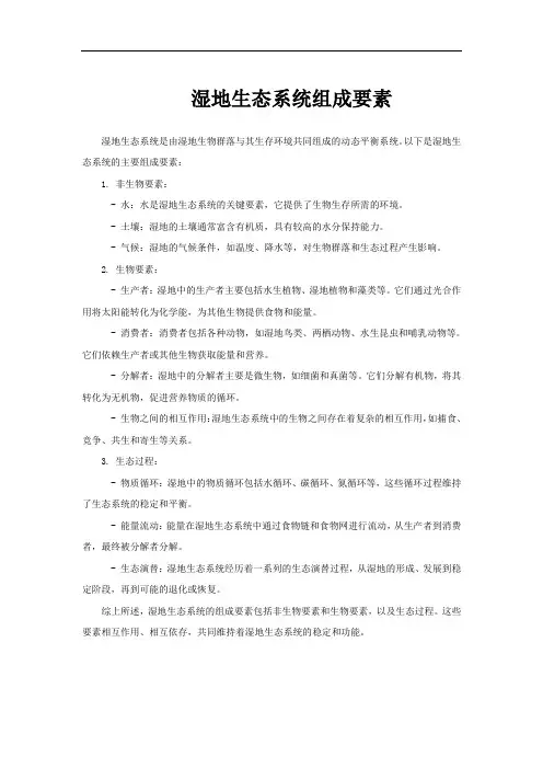 湿地生态系统组成要素