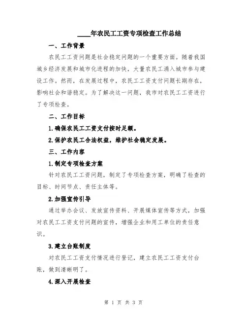 2024年农民工工资专项检查工作总结
