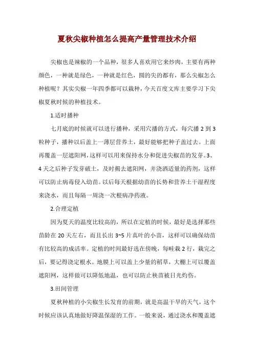夏秋尖椒种植怎么提高产量 管理技术介绍