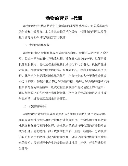动物的营养与代谢