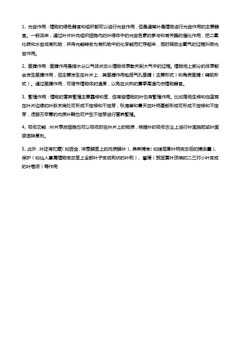 叶子的不同用途