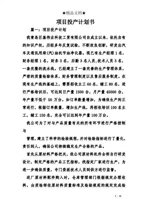 项目投产计划书