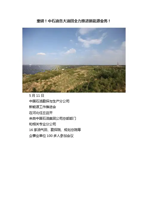 重磅！中石油各大油田全力推进新能源业务！