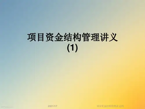 项目资金结构管理讲义(1)