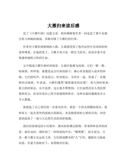 大雁归来读后感