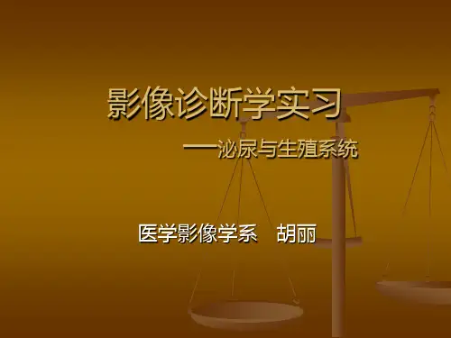 泌尿与生殖系统实习PPT