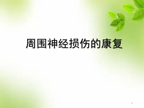 (医学课件)周围神经损伤的康复PPT幻灯片精选全文完整版