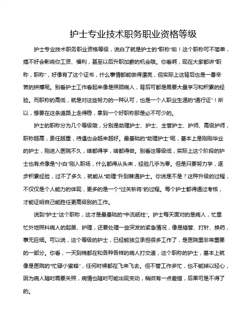 护士专业技术职务职业资格等级