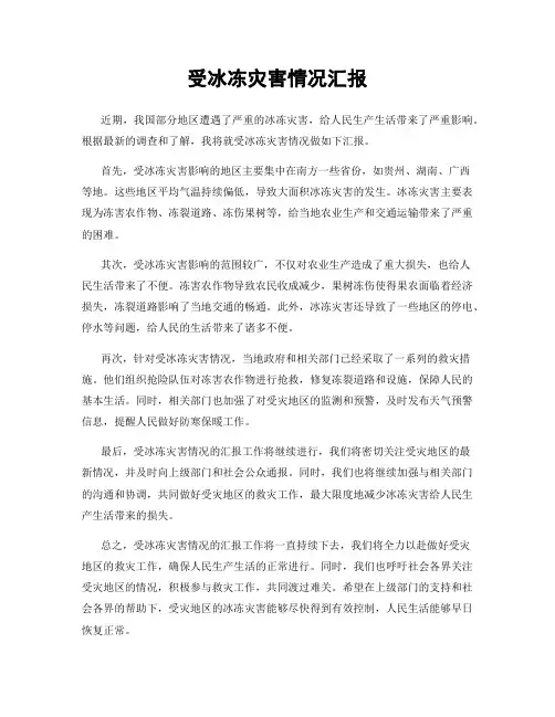 受冰冻灾害情况汇报