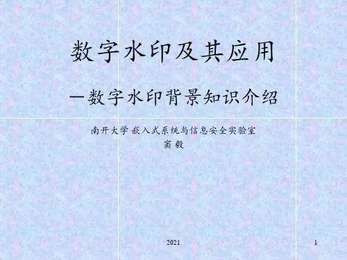 数字水印及其应用PPT课件