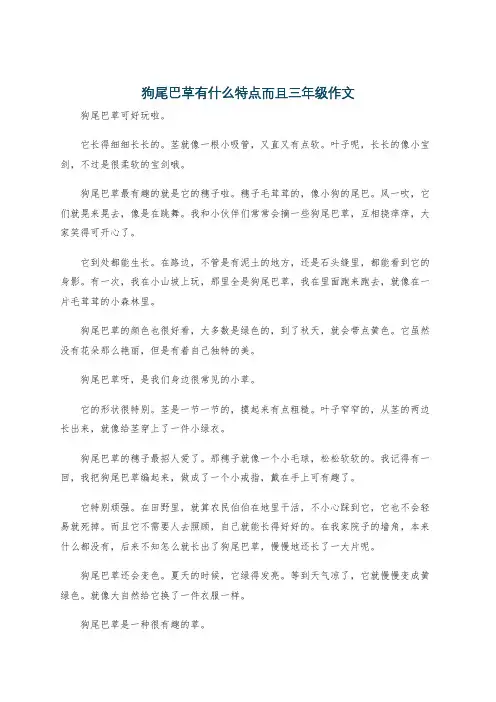 狗尾巴草有什么特点而且三年级作文