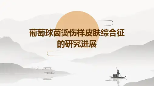 葡萄球菌烫伤样皮肤综合征的研究进展