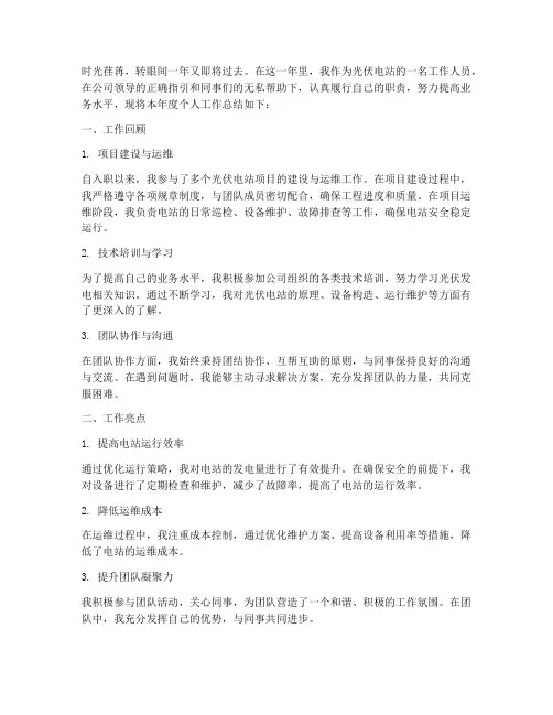 光伏电站个人工作总结