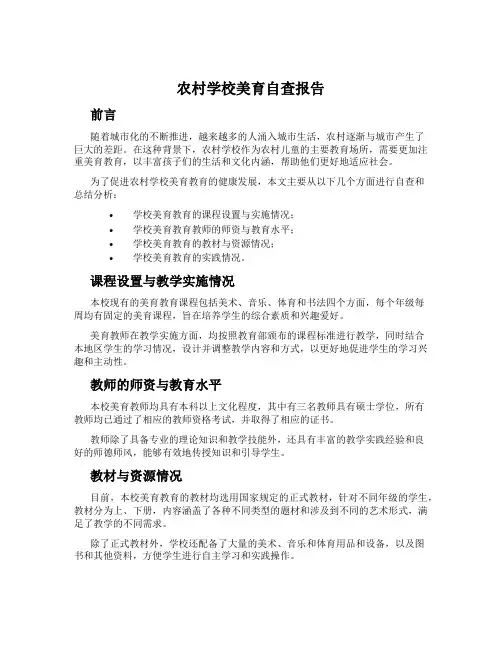 农村学校美育自查报告