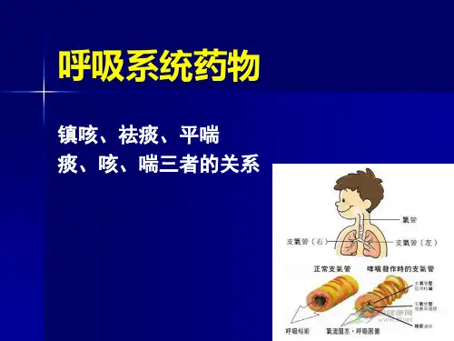 作用于呼吸系统的药物(镇咳、祛痰、平喘 痰、咳、喘三者的关系)