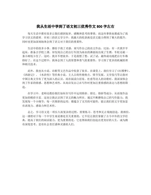 我从生活中学到了语文初三优秀作文800字左右