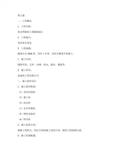隧洞专项施工方案(3篇)