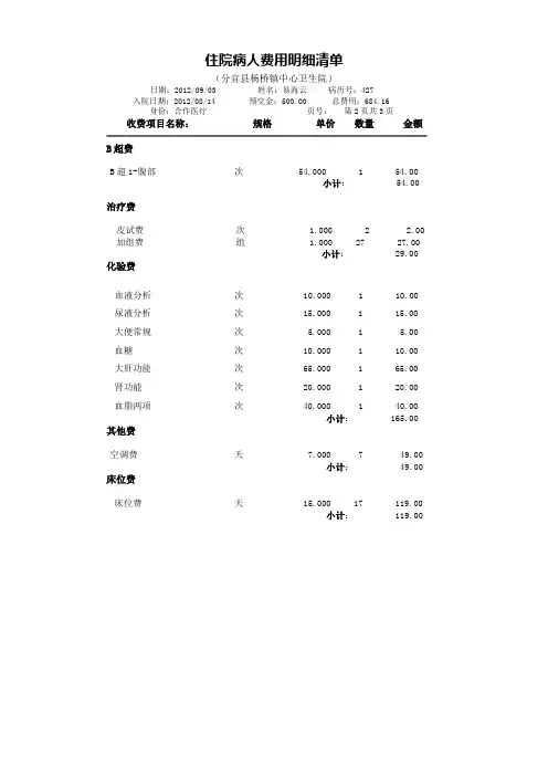 (推荐)住院病人费用明细清单