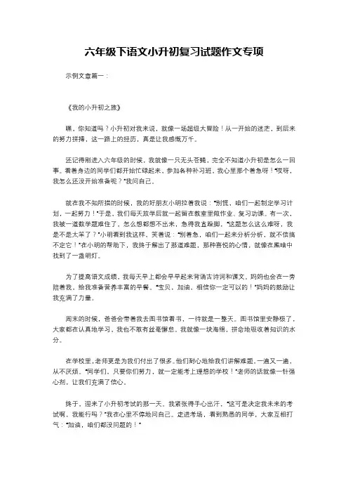 六年级下语文小升初复习试题作文专项