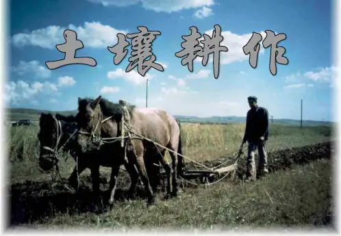 土壤耕作_精品文档