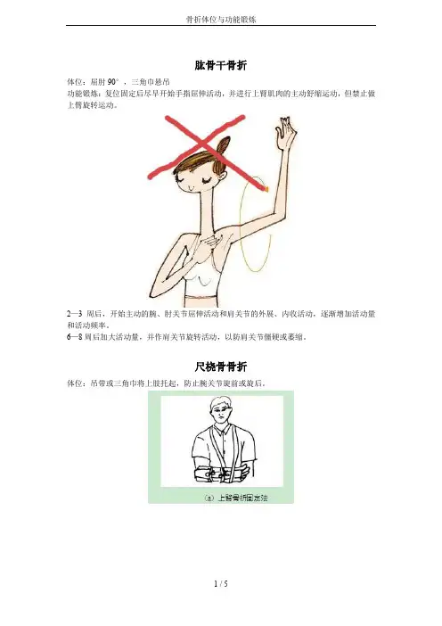 骨折体位与功能锻炼